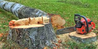 Best Arborist Consultation Services  in Mableton, GA
