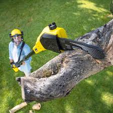 Best Tree Preservation Services  in Mableton, GA