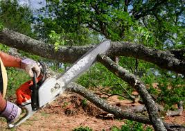Best Commercial Tree Services  in Mableton, GA