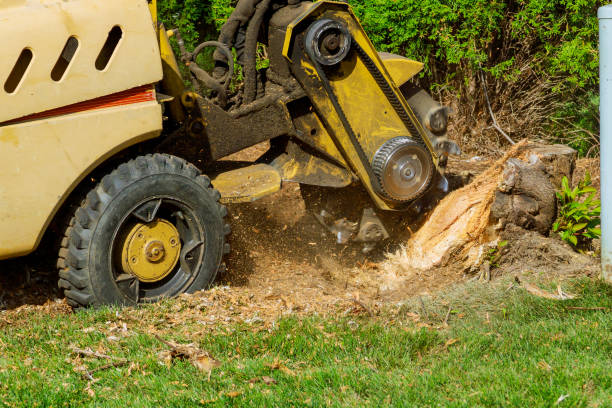 Best Tree Risk Assessment  in Mableton, GA
