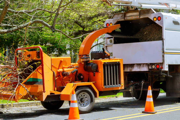 Reliable Mableton, GA Tree Services Solutions