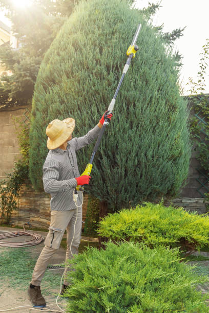 Best Leaf Removal  in Mableton, GA