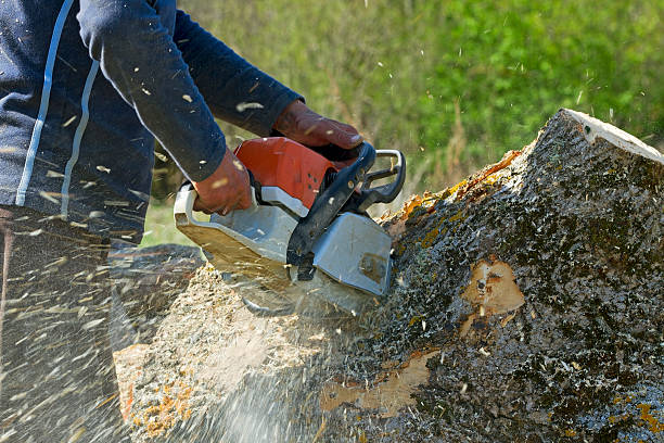 Best Weed Control  in Mableton, GA